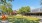 Domain Northside: The Lawn